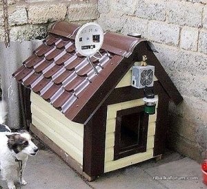 image (2).jpg