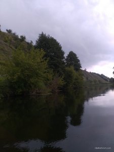 IMG_20160724_104552.jpg