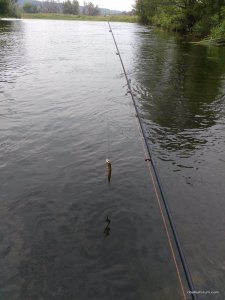 IMG_20160724_070535.jpg