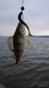 DSC_1121.JPG