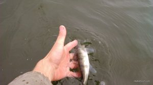 DSC_1120.JPG