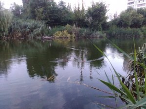 IMG_20160717_204636.jpg
