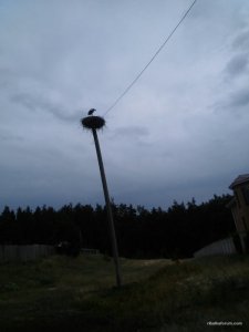 image-0-02-01-813cb28ddac5db007d9e4dd332d2293056d7348e51bd2c73daa88cd039d9c295-V.jpg