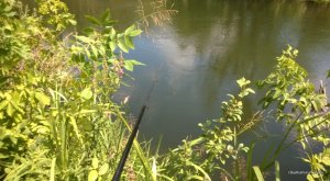 WP_20160724_022.jpg