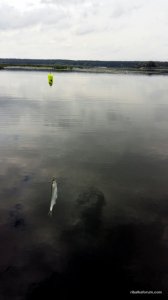 2016-07-25 16.51.24.jpg