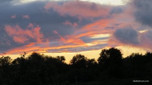IMG_2425.JPG