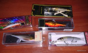 20160726_182010.jpg