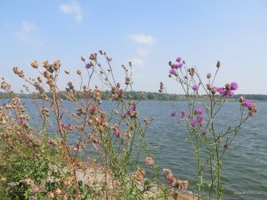 IMG_0008.JPG