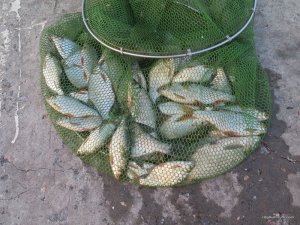 IMG_0018.JPG