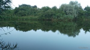 IMG_20160726_195922.jpg