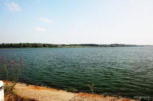 DSC04920.jpg