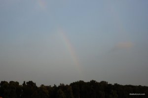 DSC04933.jpg