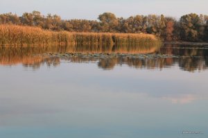IMG_6154.JPG