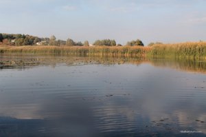 IMG_6126.JPG
