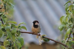 IMG_3319.JPG