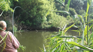 vlcsnap-2016-07-29-16h52m28s163.png