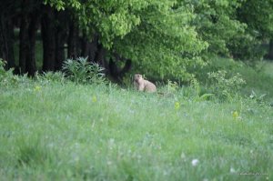 IMG_7671.JPG