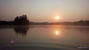 IMG_20160728_054312.jpg