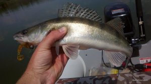 IMG_20160728_123127.jpg