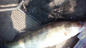 IMG_20160728_153631.jpg