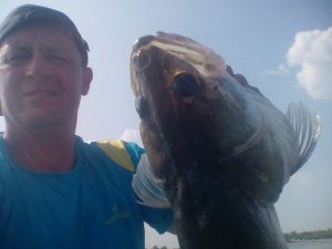 IMG_20160728_153717.jpg
