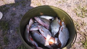 IMG_20160730_144350_863.jpg