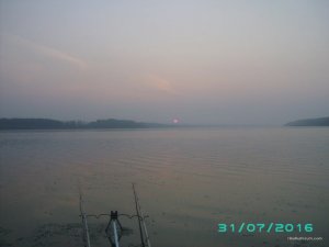 PICT0047.JPG