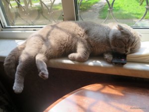 IMG_0032.JPG