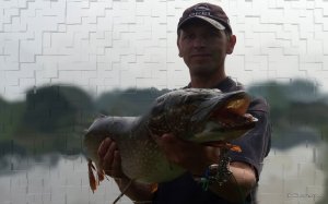 my_big_fish7_3.jpg