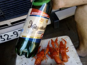IMG_20160801_124121.jpg