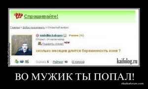 1361846760_034.jpg