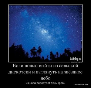 1380014711_028.jpg