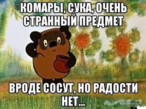 getImage.jpg