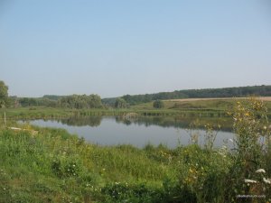 IMG_0221.jpg