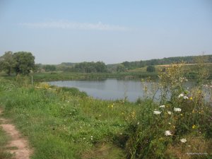 IMG_0231.jpg