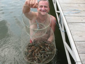 IMG_0242.jpg