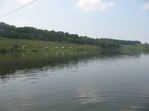 IMG_0246.jpg