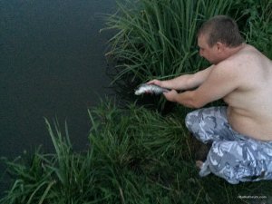 image-0-02-01-4d315a4b9c5b2db8b3f844118ba639ad3842689db485a1cb79f86e9b59b6f196-V.jpg