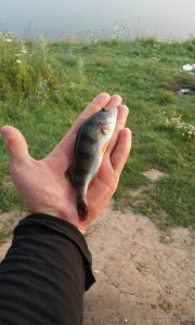 20160730_055028.jpg