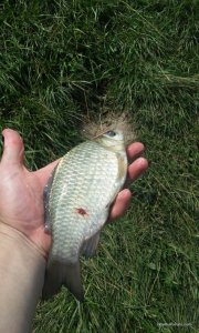 20160730_133701.jpg