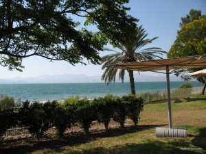 IMG_2037.JPG