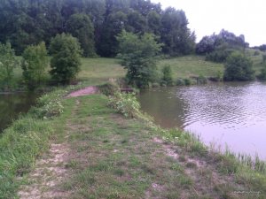 IMG_20160803_182639.jpg