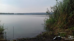 20160803_081348.jpg