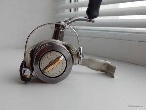 DSCN8303.JPG