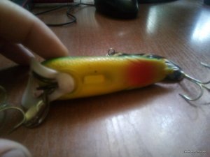 IMG_20160806_132253.jpg