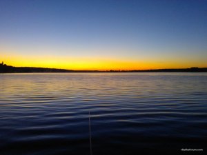 WP_001329.jpg