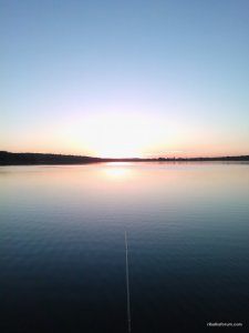 WP_001335.jpg