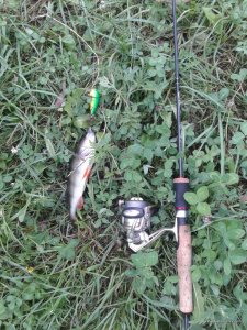 20160807_182456.jpg
