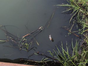 IMG_7908.JPG