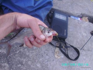 PICT0063.JPG